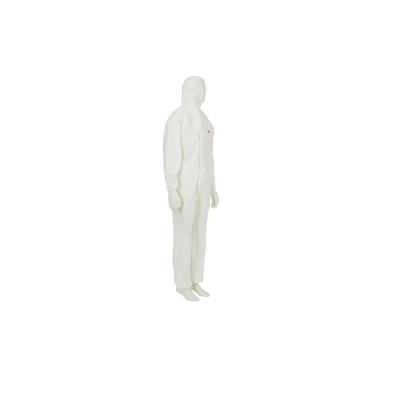 4540-b-3917890.jpg 3