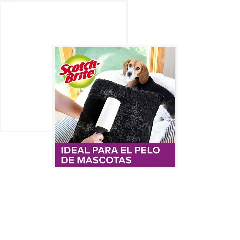 roller-1-6023567.jpg 1